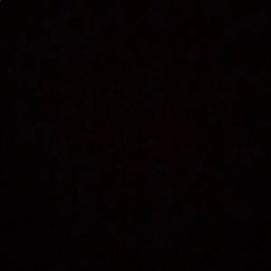 Meet your Posher, Izzy